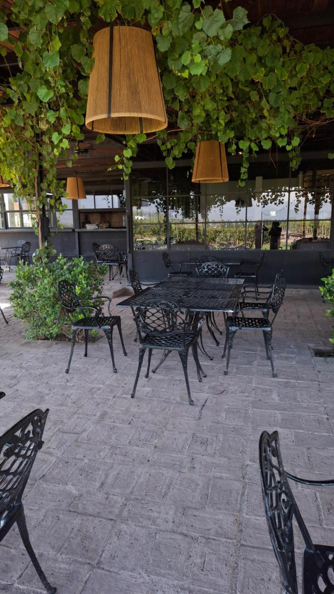 Viamonte Winery Lodge 查克拉斯德科里亚 外观 照片
