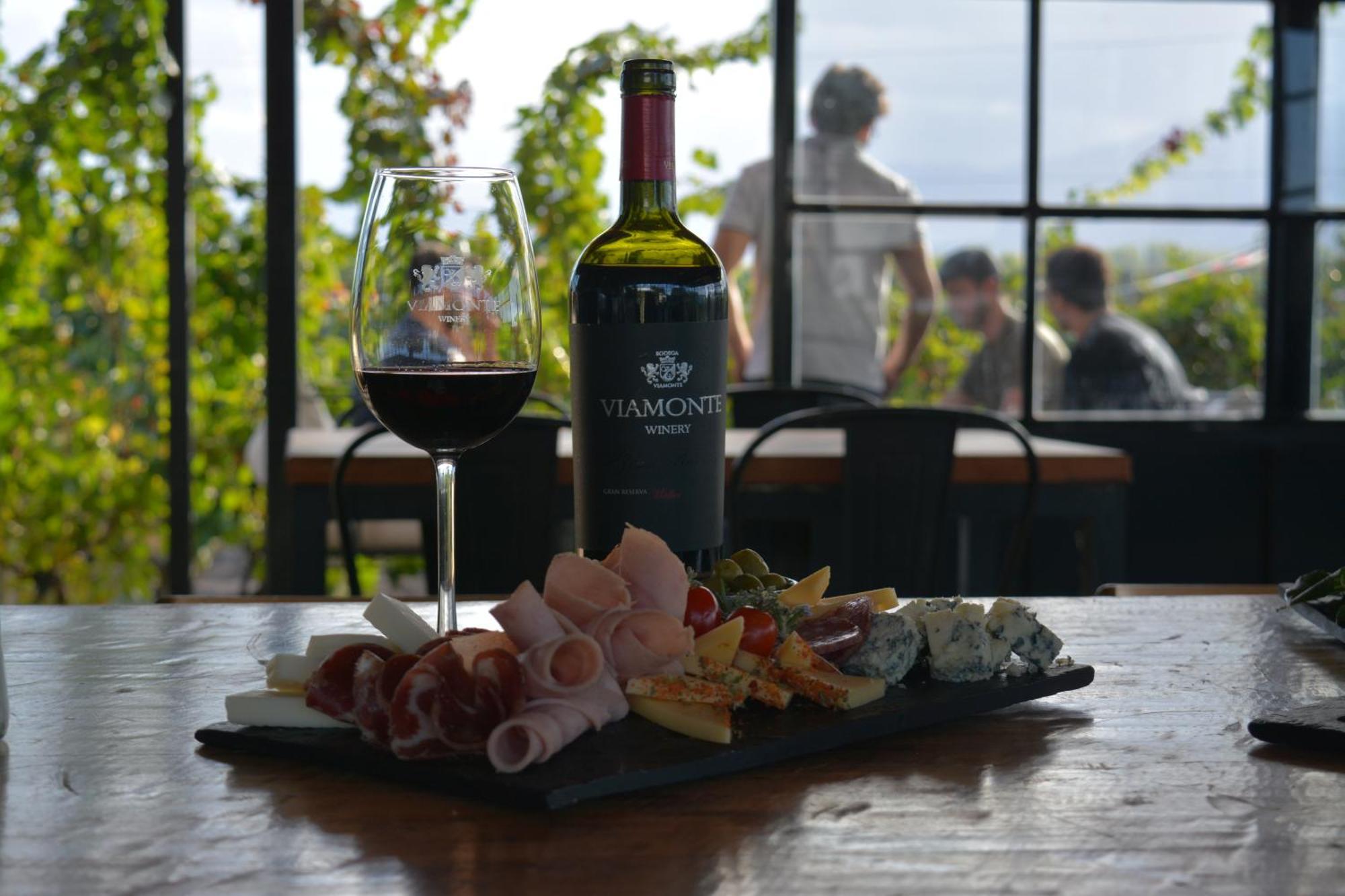 Viamonte Winery Lodge 查克拉斯德科里亚 外观 照片