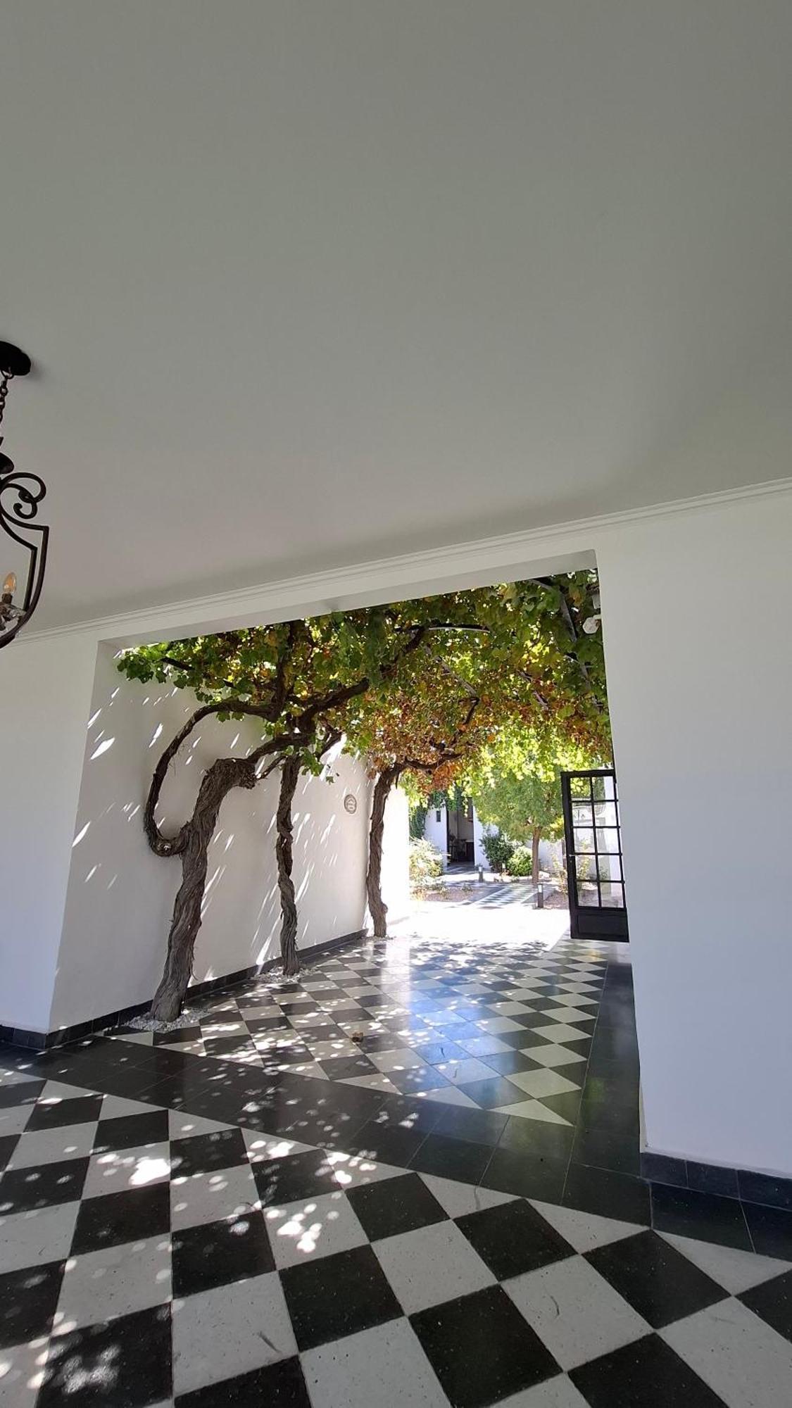 Viamonte Winery Lodge 查克拉斯德科里亚 外观 照片